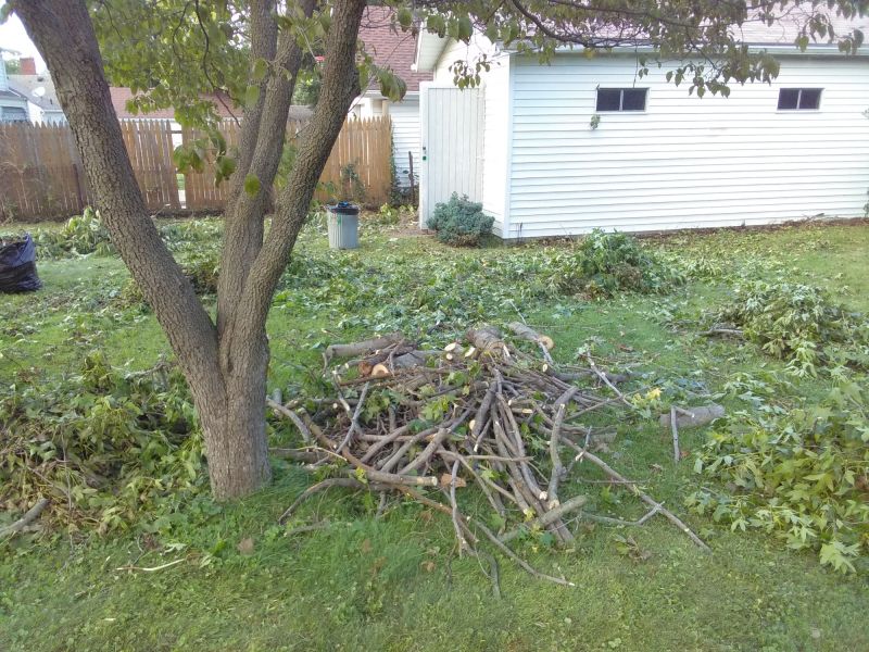 Residential Yard Cleanup