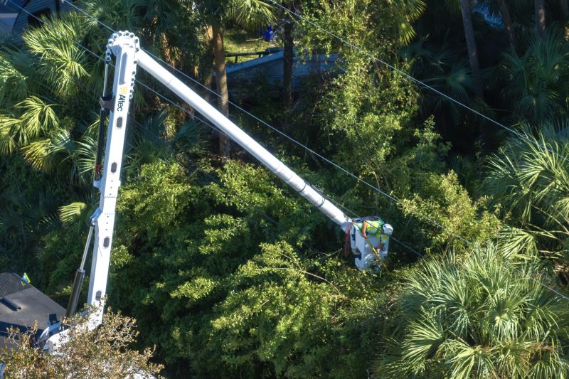 Budget-Smart Upgrades