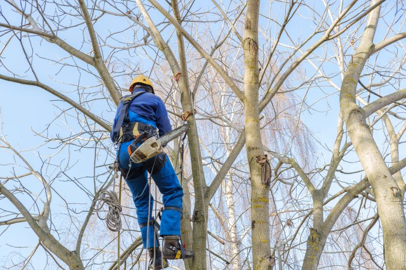 Safety Trimming Near Structures