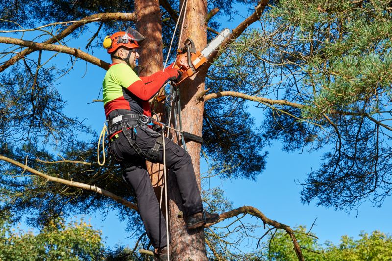 Tree Pruning Near Power Lines